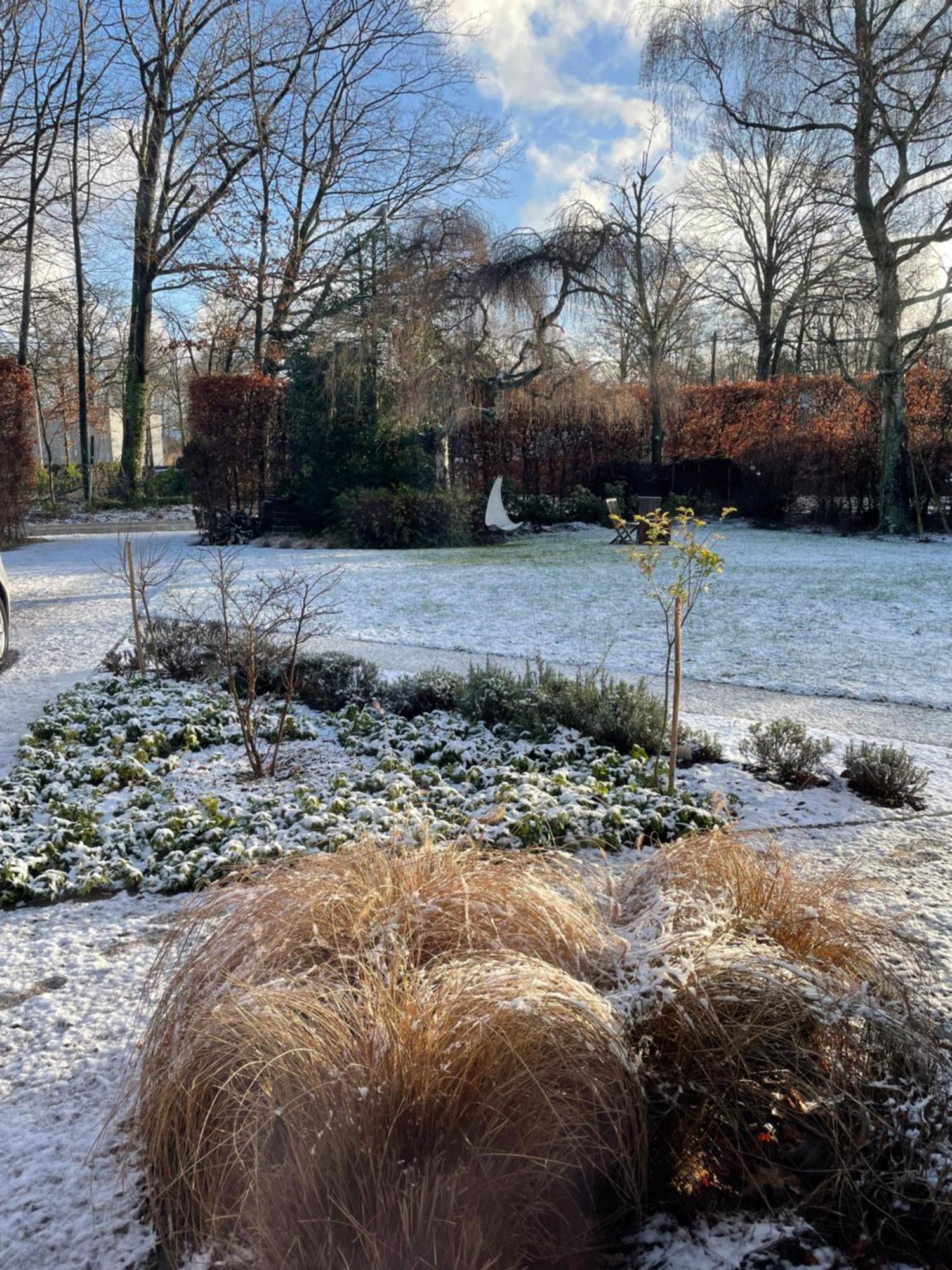 De Graslelie Apartment Schoten Luaran gambar